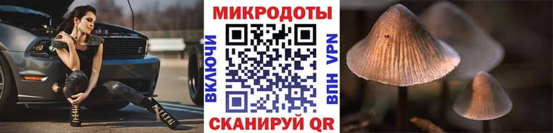 Псилоцибиновые грибы Magic Shrooms  это телеграм  Пустошка 